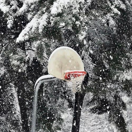 Winter White cover