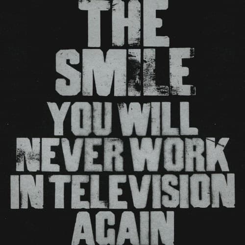 You Will Never Work in Television Again cover
