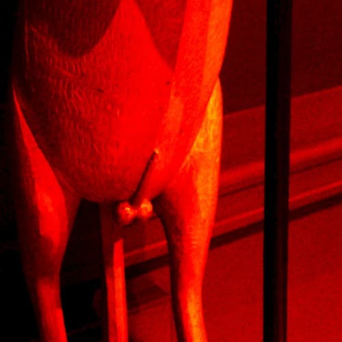 B-Sides & Rarities Vol.1 [2008-2012] cover