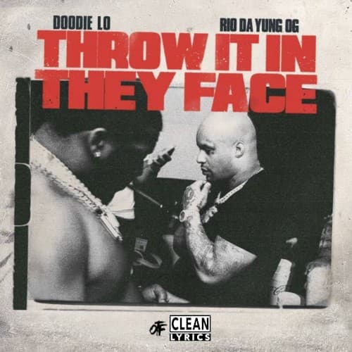 Throw It in They Face cover