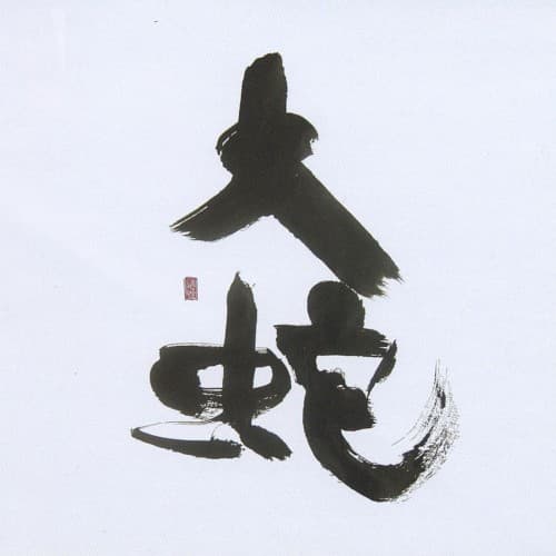 OROCHI cover