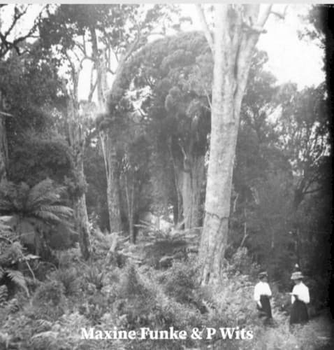 Forest Photographer cover