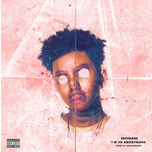 I'm So Anonymous cover