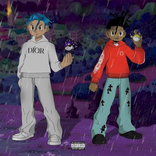 Pokeball cover