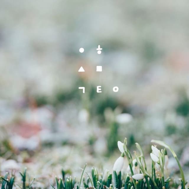 월화수목금토일 cover