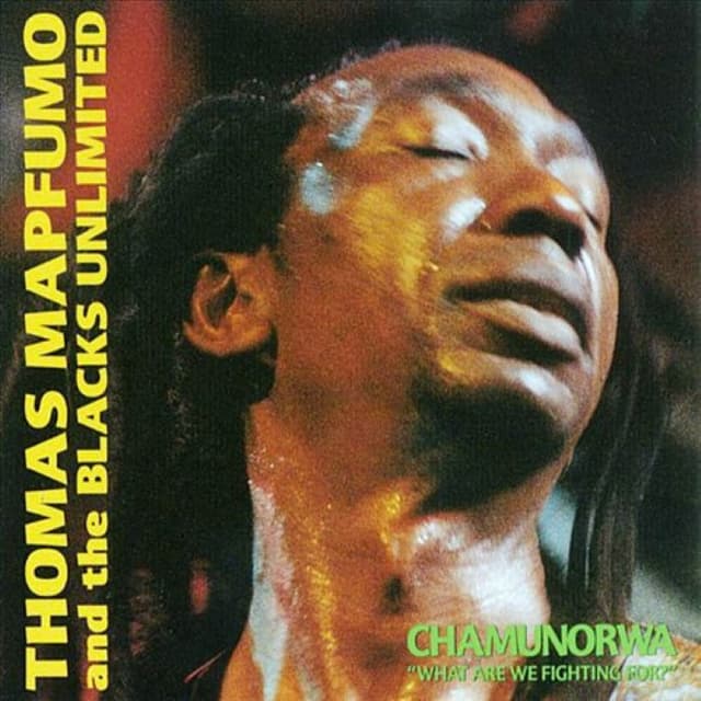 Chamunorwa cover