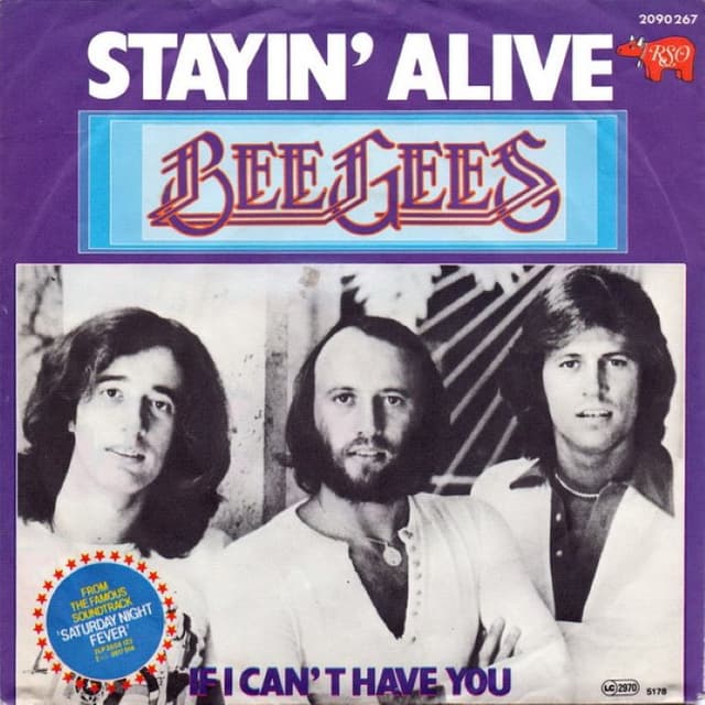 Stayin' Alive cover