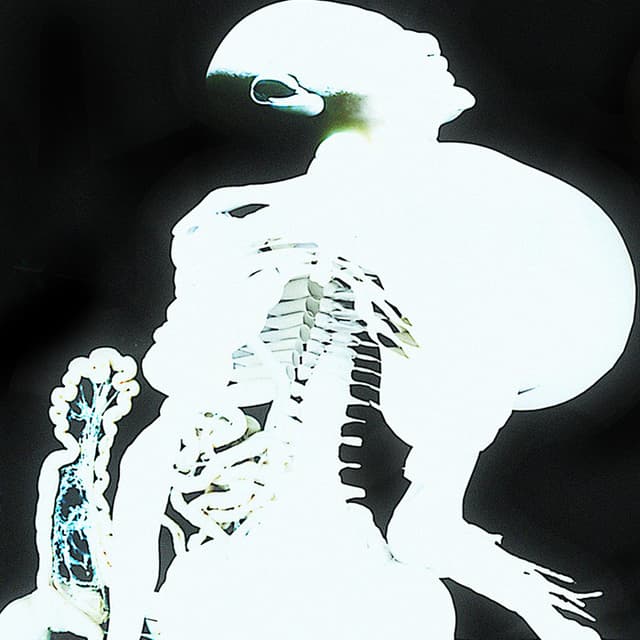 Entrañas cover