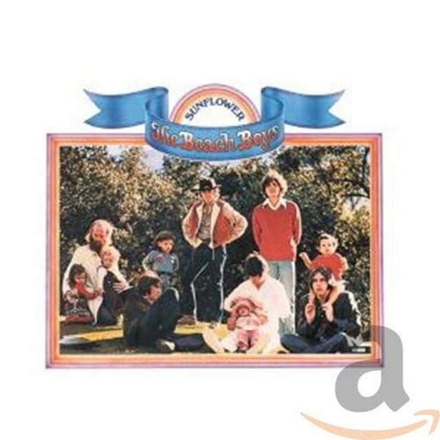Sunflower / Surf's Up album cover