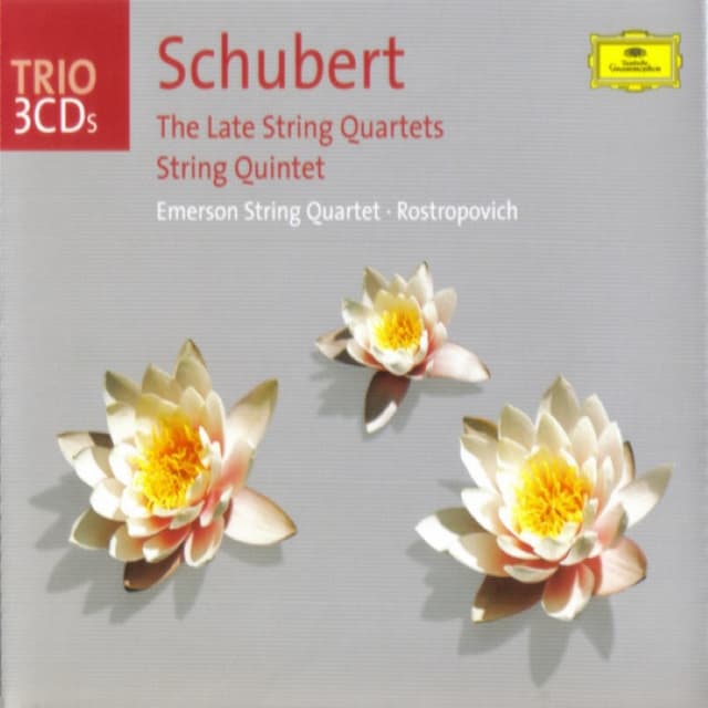 The Late String Quartets / String Quintet cover