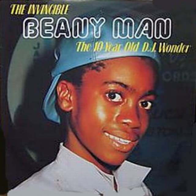 The Invincible Beany Man: The Ten Year Old D.J. Wonder cover