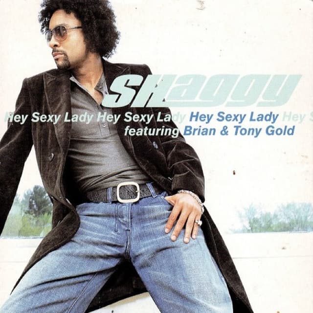 Hey Sexy Lady cover