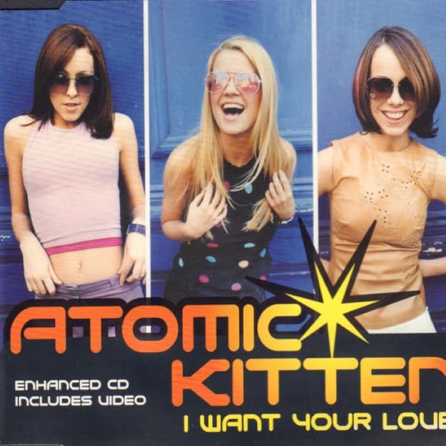 I Want Your Love cover