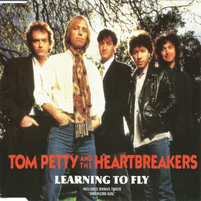 Learning to Fly cover