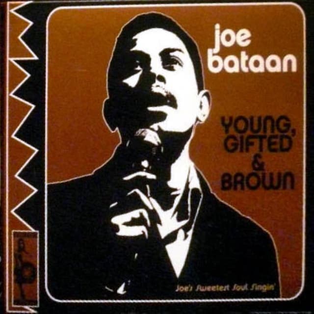 Young, Gifted & Brown cover