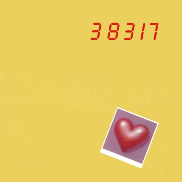 38317 cover