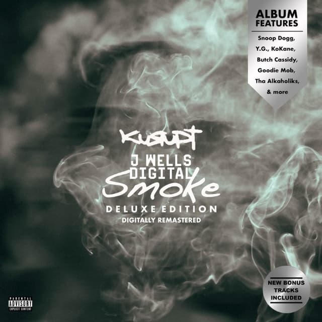 Digital Smoke cover