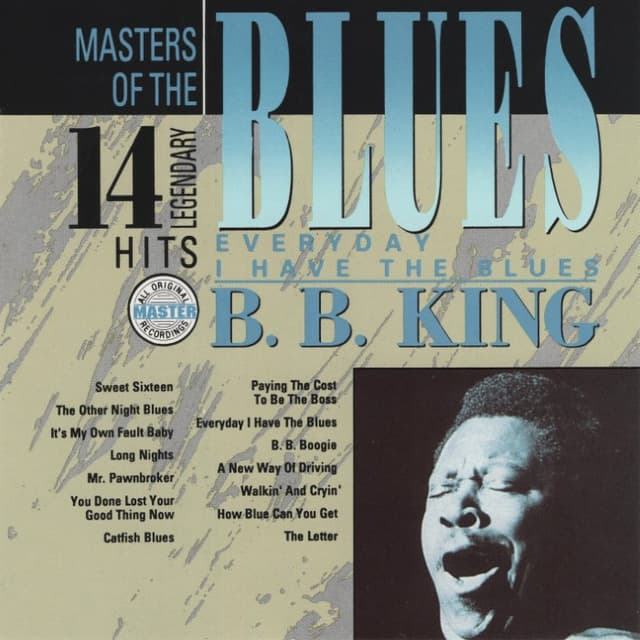 Everyday I Have The Blues cover