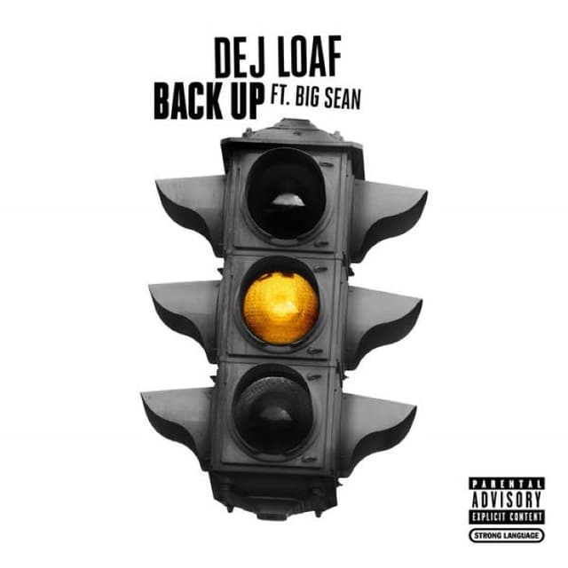 Back Up cover