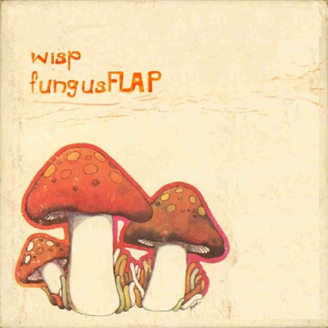fungusFLAP cover