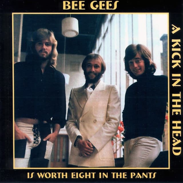 A Kick in the Head Is Worth Eight in the Pants cover