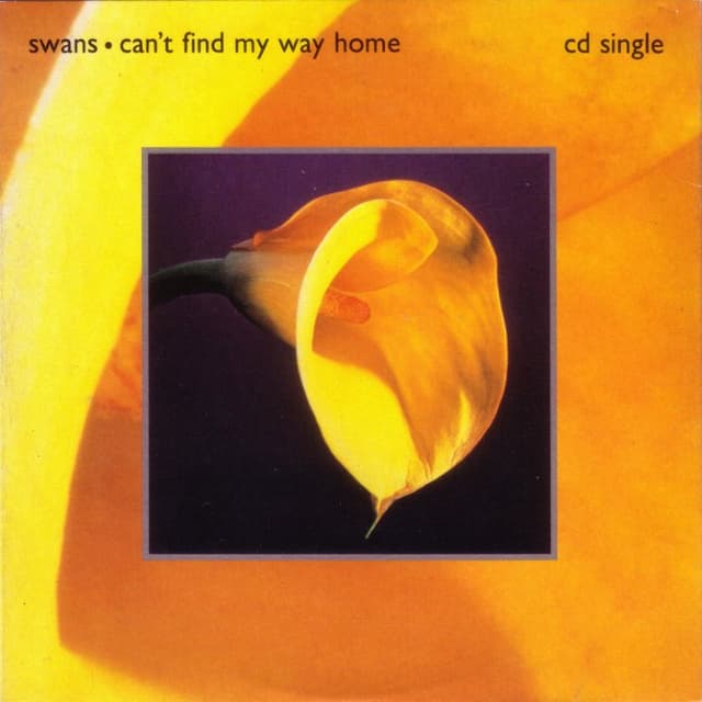 Can't Find My Way Home cover