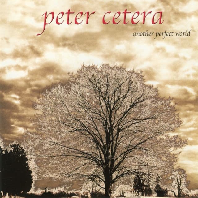 Another Perfect World cover