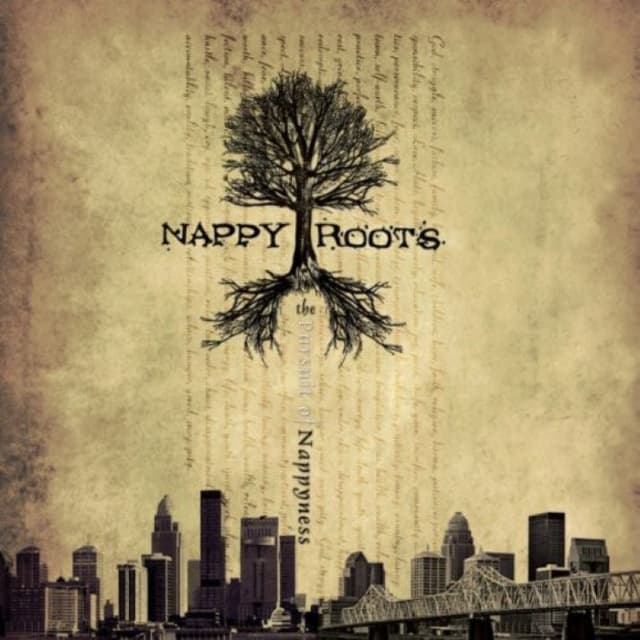 The Pursuit of Nappyness cover