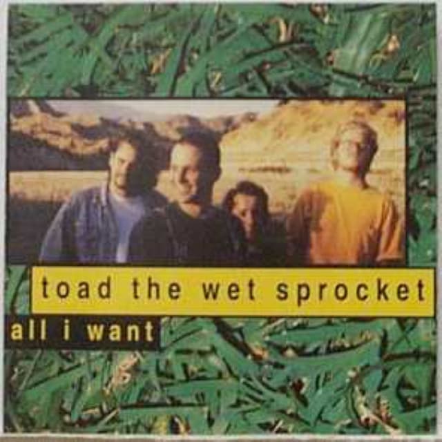 All I Want cover