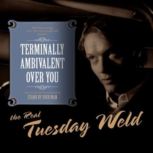 (Still) Terminally Ambivalent Over You cover
