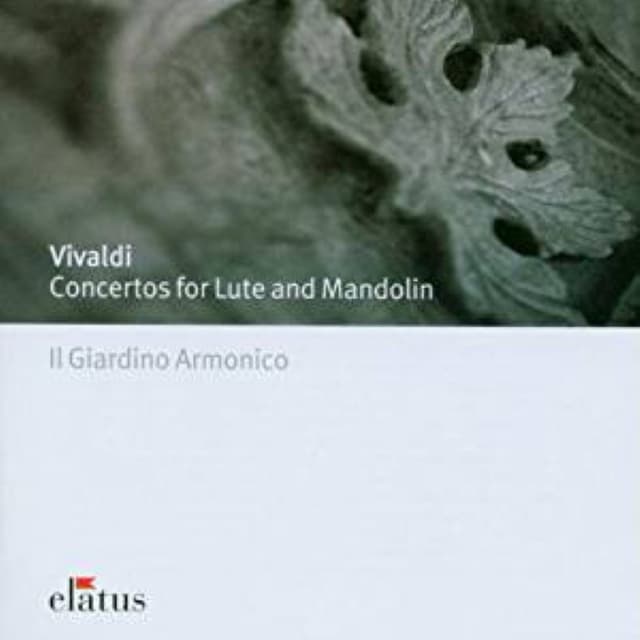 Lute (Guitar) Concertos / Mandolin Concertos cover