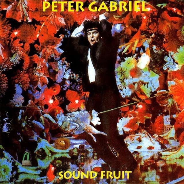 Sound Fruit cover