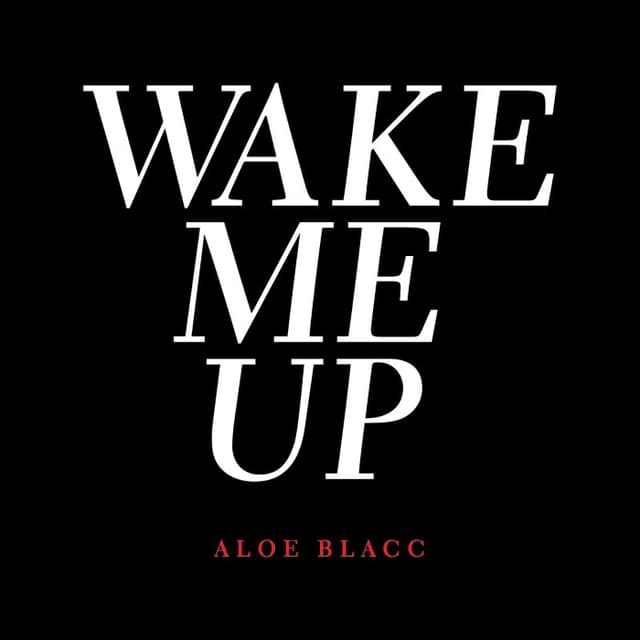 Wake Me Up (Acoustic) cover