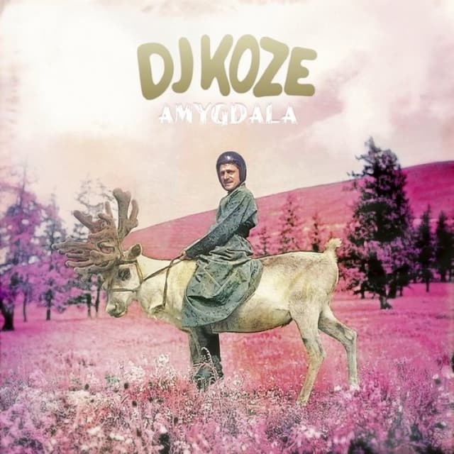 Das Wort cover