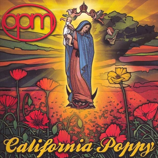 California Poppy cover