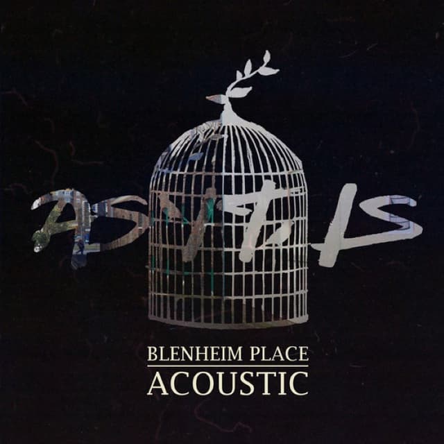 Blenheim Place Acoustic cover