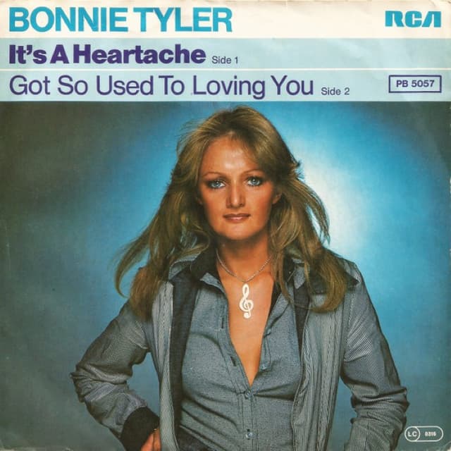 It's a Heartache / I've Got So Used to Lovin' You cover