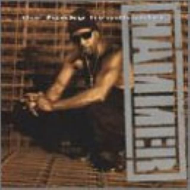 The Funky Headhunter cover