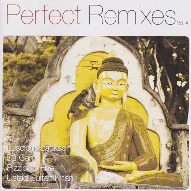 Perfect Remixes, Volume 4 cover