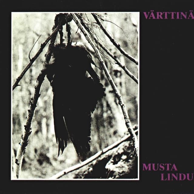 Musta lindu cover