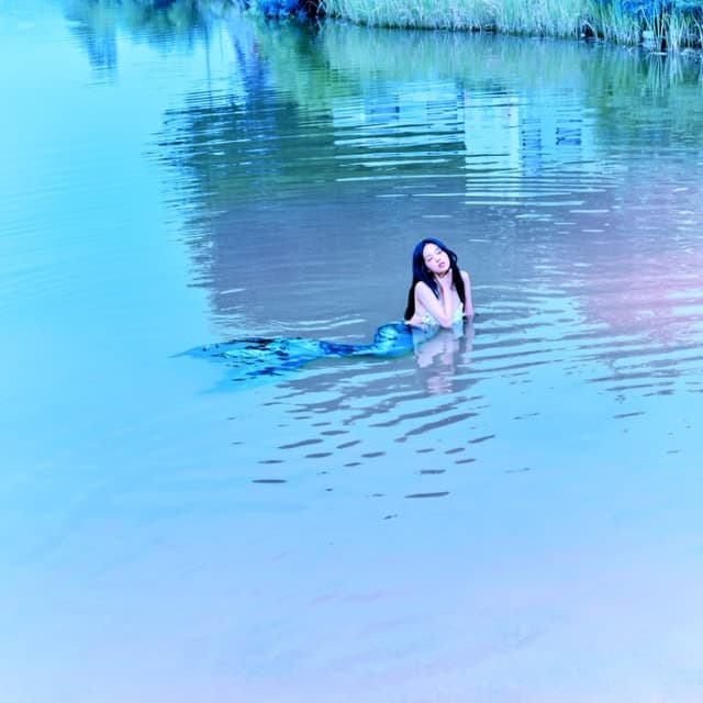 PADO cover