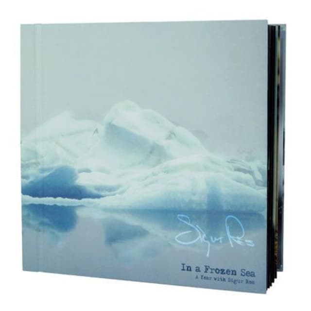 In a Frozen Sea: A Year With Sigur Rós cover