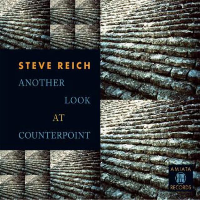 Another Look at Counterpoint cover