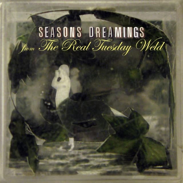 Seasons Dreamings cover