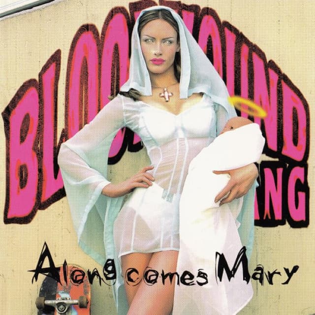 Along Comes Mary cover