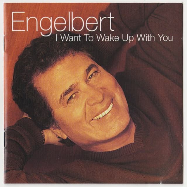 I Want to Wake Up With You cover