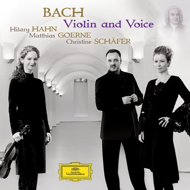 Violin and Voice cover