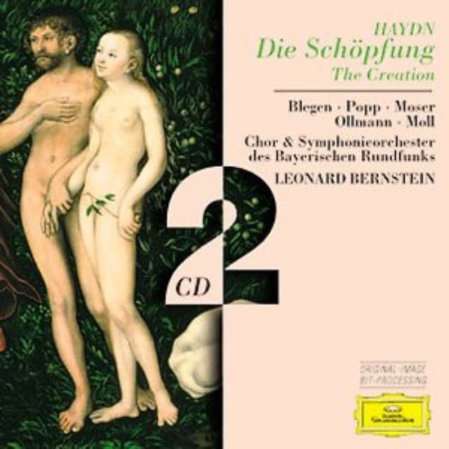 Die Schöpfung (Chor und Symphonie-Orchester des Bayerischen Rundfunks feat. conductor: Leonard Bernstein) cover