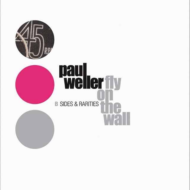 Fly on the Wall: B Sides and Rarities cover