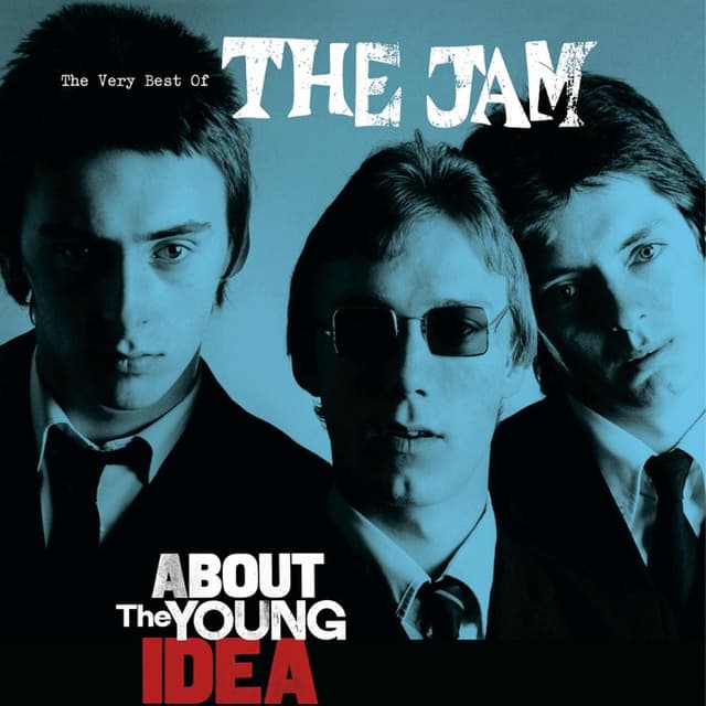 About the Young Idea cover